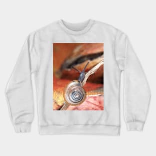 Tiny snail Crewneck Sweatshirt